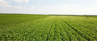 suncitygroup太阳集团(中国)-官方网站