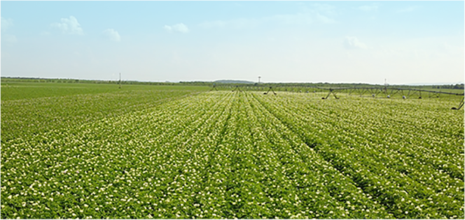 suncitygroup太阳集团(中国)-官方网站